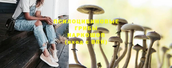 эйфоретик Няндома