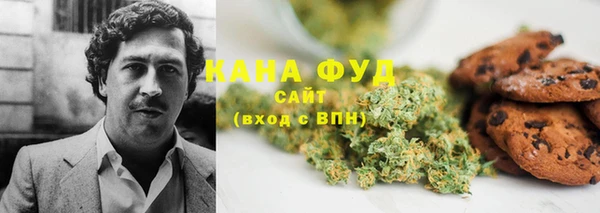 эйфоретик Няндома