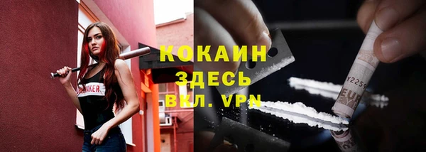 СК Алексин