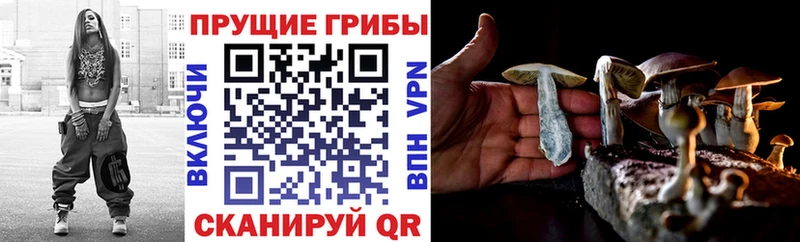 Псилоцибиновые грибы прущие грибы  сайты даркнета состав  Харовск 